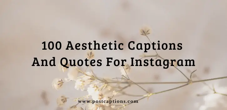 Aesthetic-Instagram-Captions