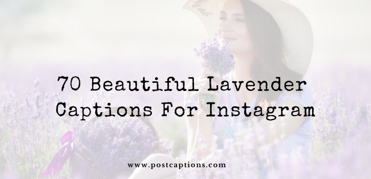 Lavender captions for Instagram