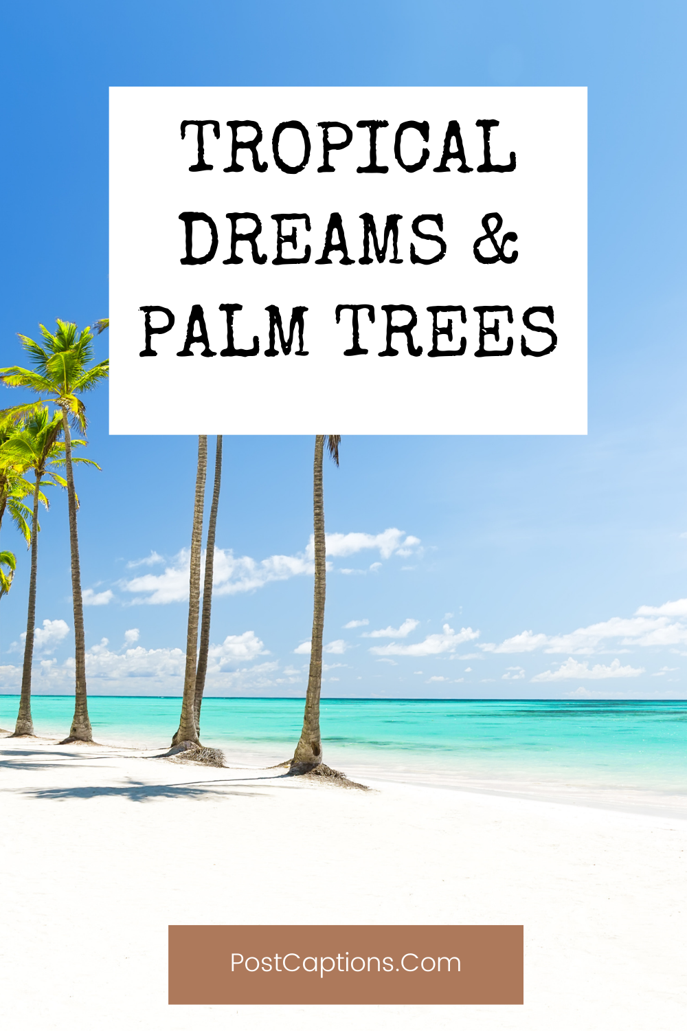 Palm tree captions