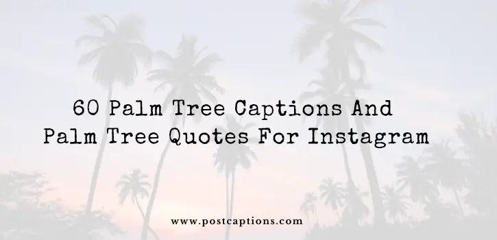 Palm tree captions for Instagram