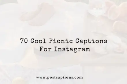 Picnic captions for Instagram