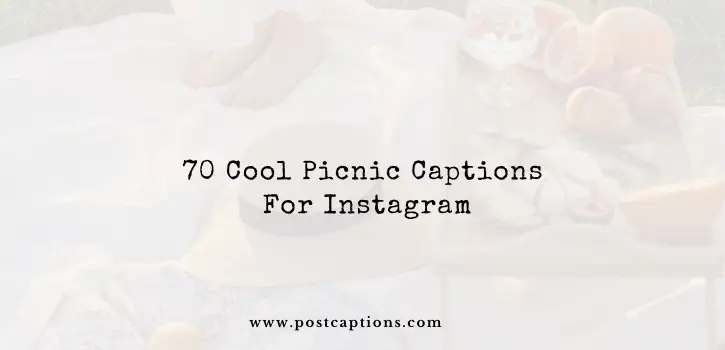 Picnic captions for Instagram