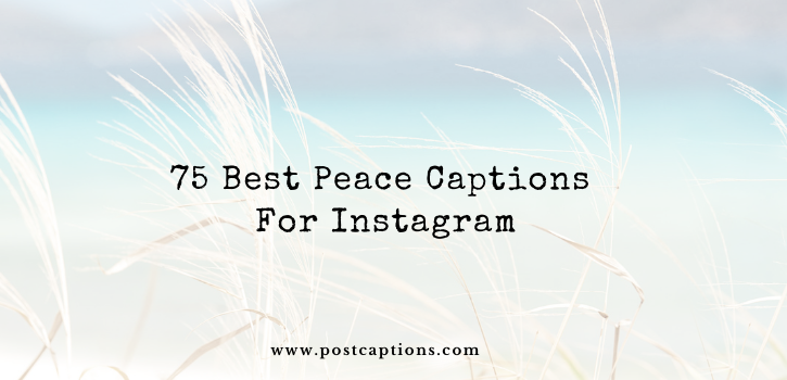 75 Best Peace Captions for Instagram 
