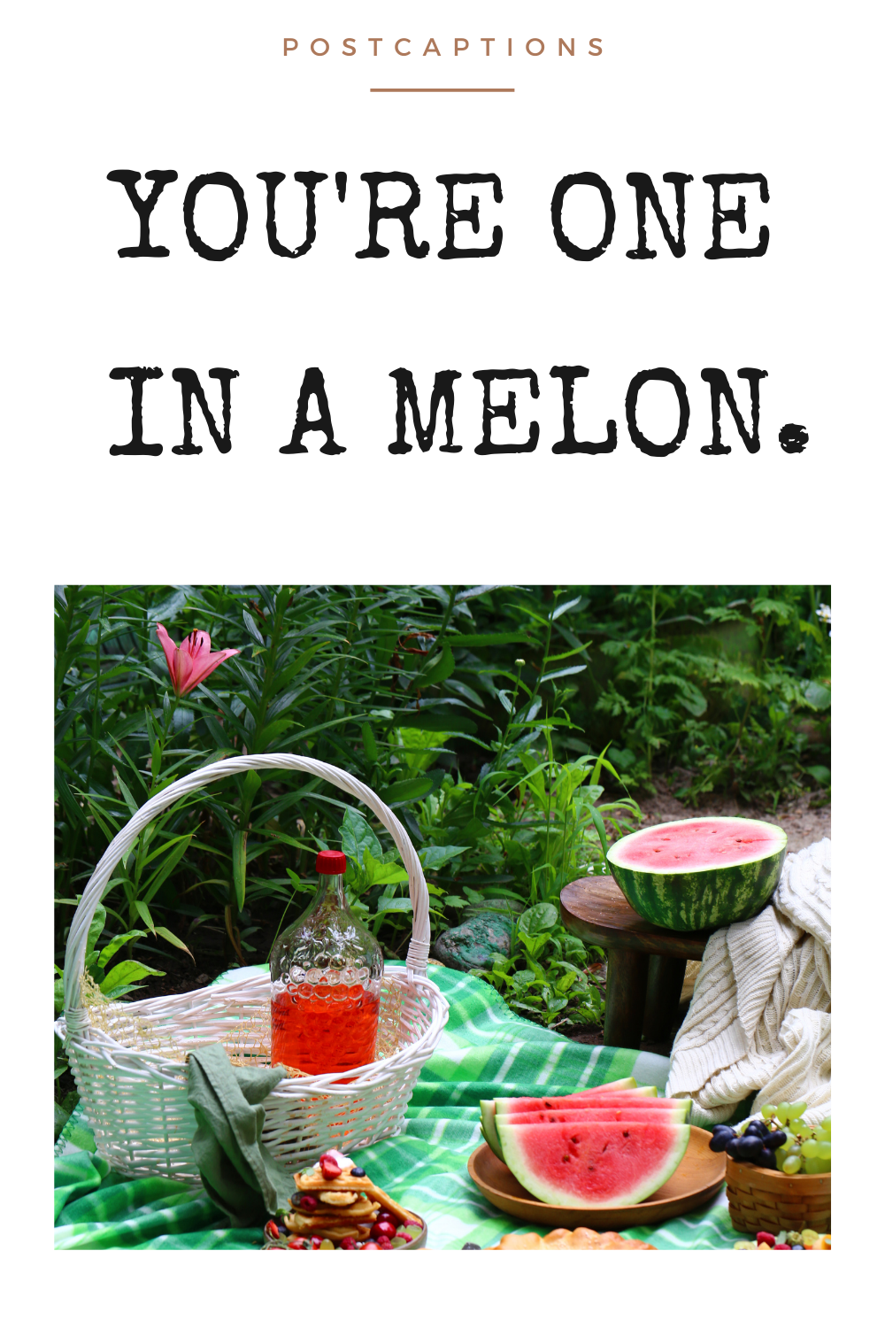 75 Watermelon Captions for Instagram 