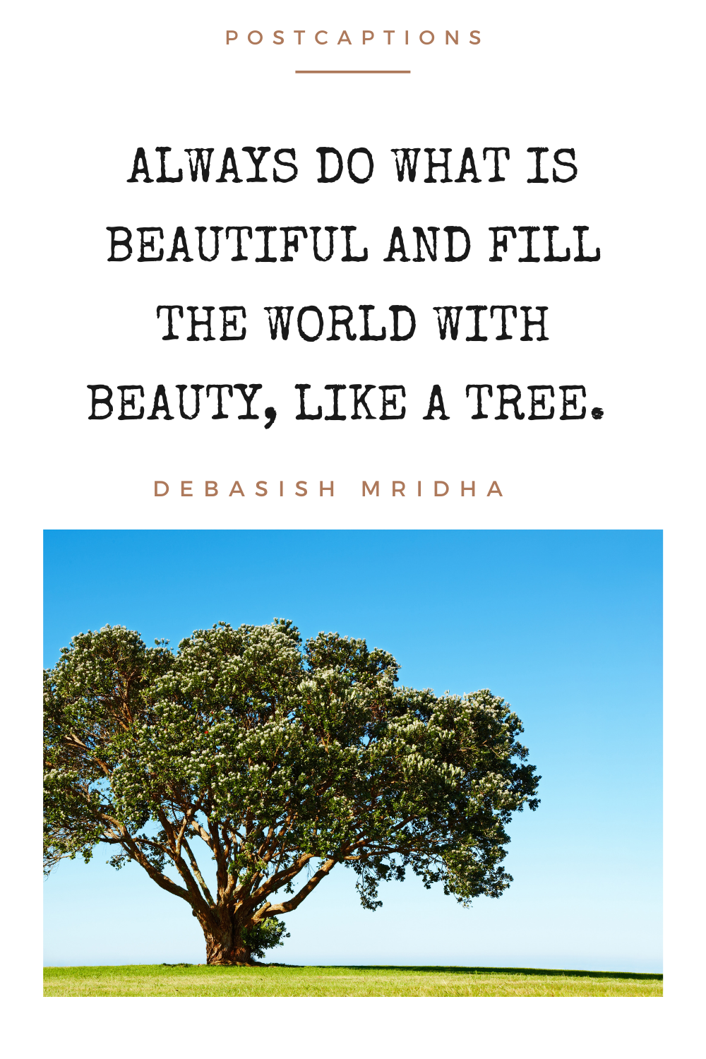 Tree quotes for Instagram