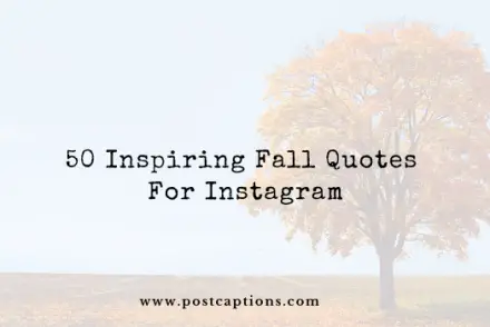 Fall quotes for Instagram