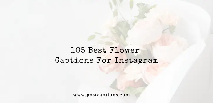 Flowers captions for Instagram