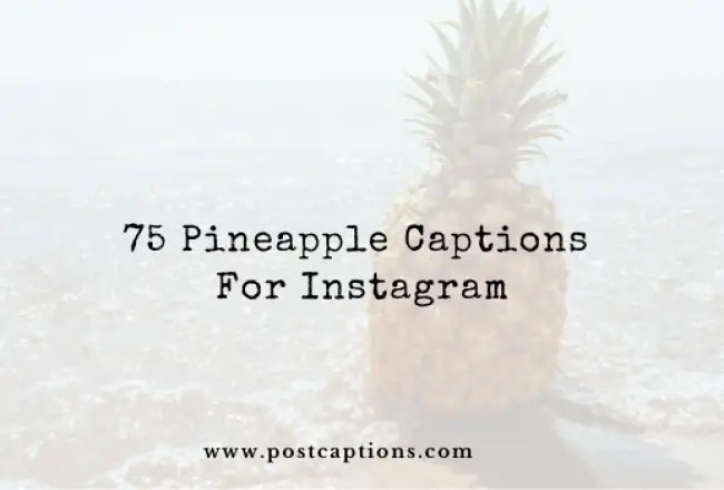 75 Pineapple Captions for Instagram 