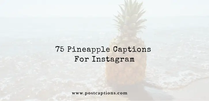 Pineapple captions for Instagram