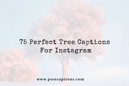 Tree captions for Instagram