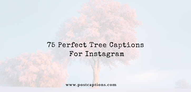 Tree captions for Instagram