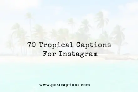Tropical captions for Instagram