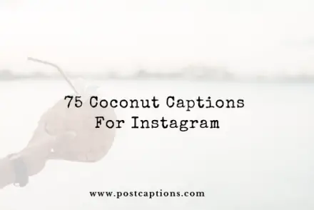 coconut captions for Instagram