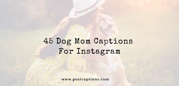 Dog mom captions for Instagram
