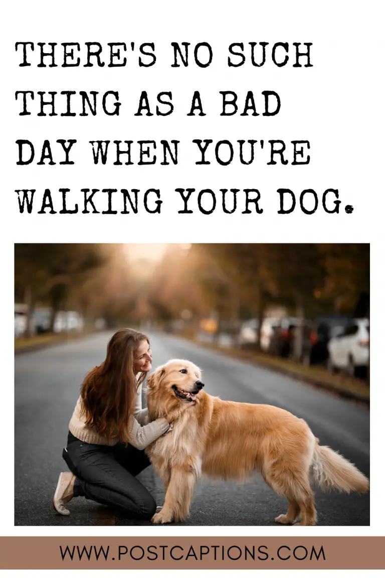 55 Best Instagram Captions for Walking Your Dog - PostCaptions.com