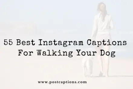 Captions for walking your dog