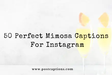 Mimosa captions for Instagram