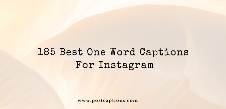 185 Best One Word Captions for Instagram 