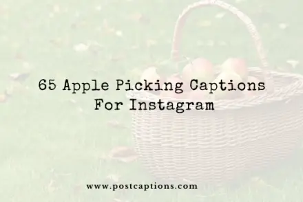Apple piking captions for Instagram
