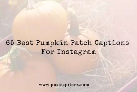 Pumpkin patch captions for Instgaram