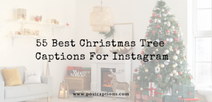 55 Best Christmas Tree Captions for Instagram - PostCaptions.com