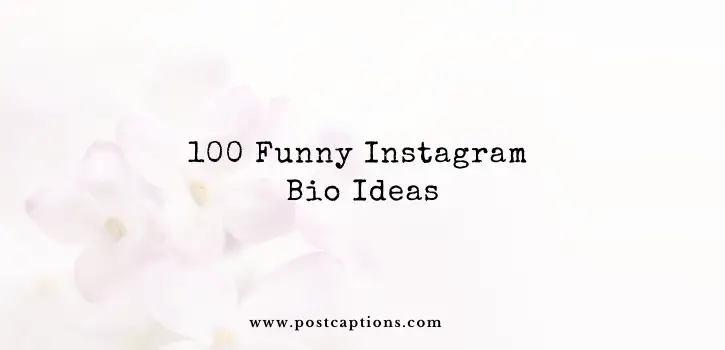 100 Funny Instagram Bio Ideas 