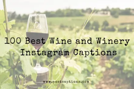 Wine Instagram Captions