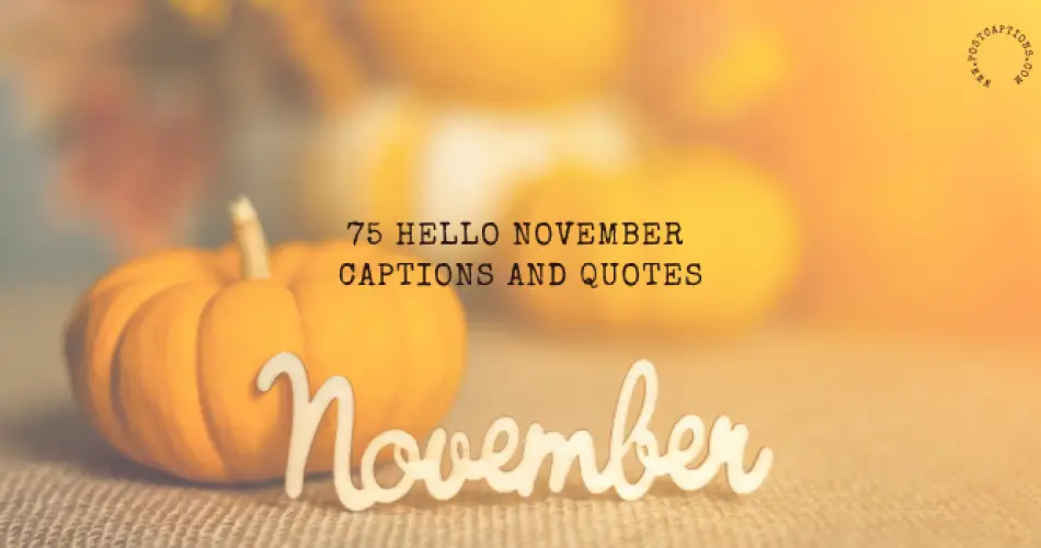 Hello November Captions and Quotes